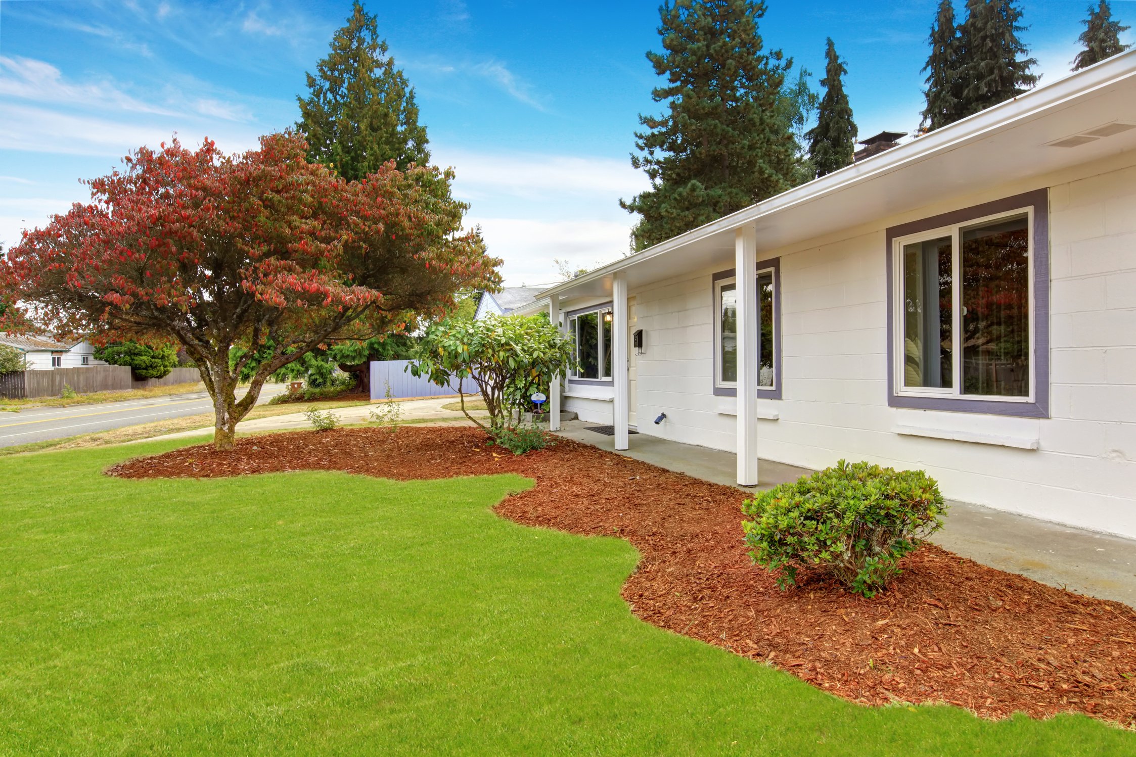 House exterior with front yard landscape.